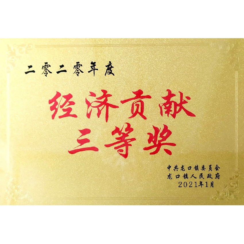 經(jīng)濟貢獻三等獎